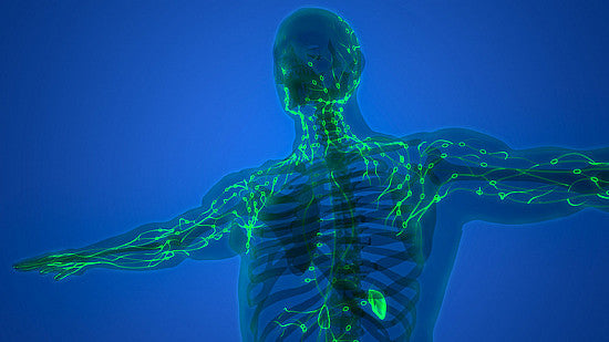 The Comprehensive Benefits of LYMPHX: Your All-in-One Natural Remedy