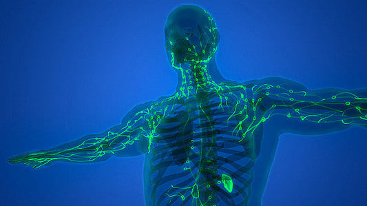 The Comprehensive Benefits of LYMPHX: Your All-in-One Natural Remedy