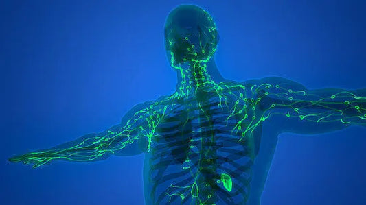 The-Comprehensive-Benefits-of-LYMPHX-Your-All-in-One-Natural-Remedy Healthy Day Supplements