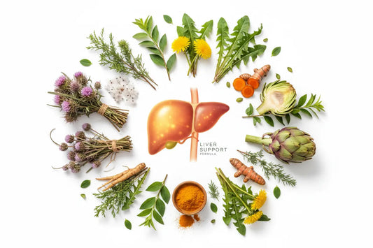 How Healthy Day Supplements’ Liver Cleanse Supports Liver Health Naturally Healthy Day Supplements