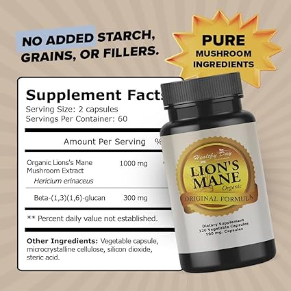Lion Mane Mushroom Supplement Organic for Optimal Brain Focus - Healthy Day Supplements
