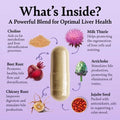 Liver Cleanse and Detox & Repair Formula - Herbal Liver Support Supplement with Milk Thistle Dandelion Root & Artichoke Extract for Liver Health - Silymarin Milk Thistle Liver Detox 60 Capsules - Healthy Day Supplements