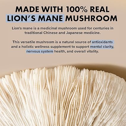 Lion Mane Mushroom Supplement Organic for Optimal Brain Focus - Healthy Day Supplements
